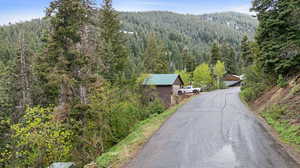 View of road featuring a wooded view