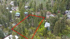 Aerial view of property's location featuring property parcel outlined and a forest