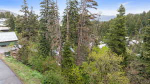 Aerial view of property and surrounding area with a forest and a mountain backdrop