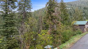 View of mountain background with a forest