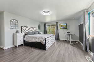 Bedroom with wood finished floors, multiple windows, and baseboards