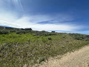 View of local wilderness