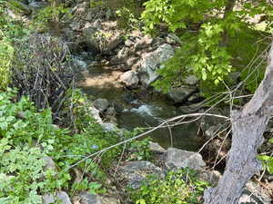 View of local wilderness