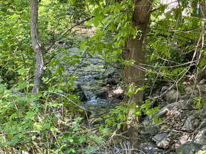 View of undeveloped land