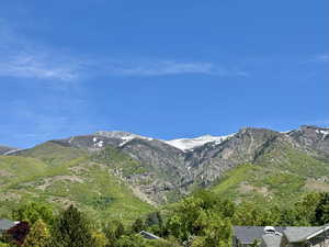 View of mountain background