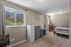 Bedroom featuring light carpet, multiple windows, and baseboards