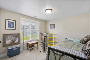 Bedroom with light carpet, baseboards, and a textured ceiling