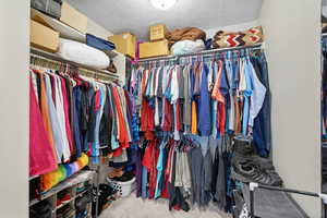 Walk in closet featuring carpet flooring