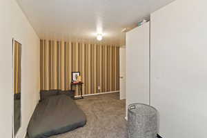 Sitting room with carpet flooring and a textured ceiling