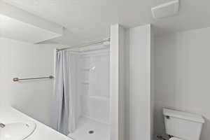 Bathroom featuring a shower stall, toilet, a textured ceiling, and vanity