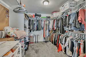 Walk in closet featuring carpet