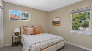 Bedroom featuring carpet floors, multiple windows, and baseboards