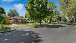 View of asphalt road with curbs and sidewalks