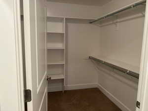 Spacious closet with carpet