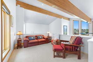 Photo 40 of 7340  BUCKBOARD DR #151