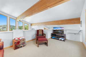 Photo 39 of 7340  BUCKBOARD DR #151