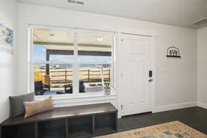 Foyer entrance featuring plenty of natural light and wood tiled floors