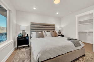 Bedroom featuring a spacious closet, baseboards, recessed lighting, and a closet