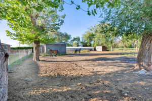 Fenced yard and horses (not included)