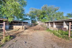 Fenced horse stalls
