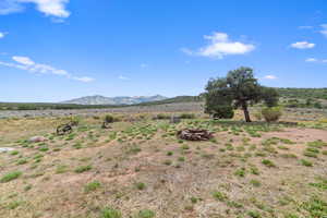 Photo 40 of 12343  SAND FLATS RD