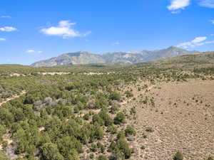 Photo 61 of 12343  SAND FLATS RD