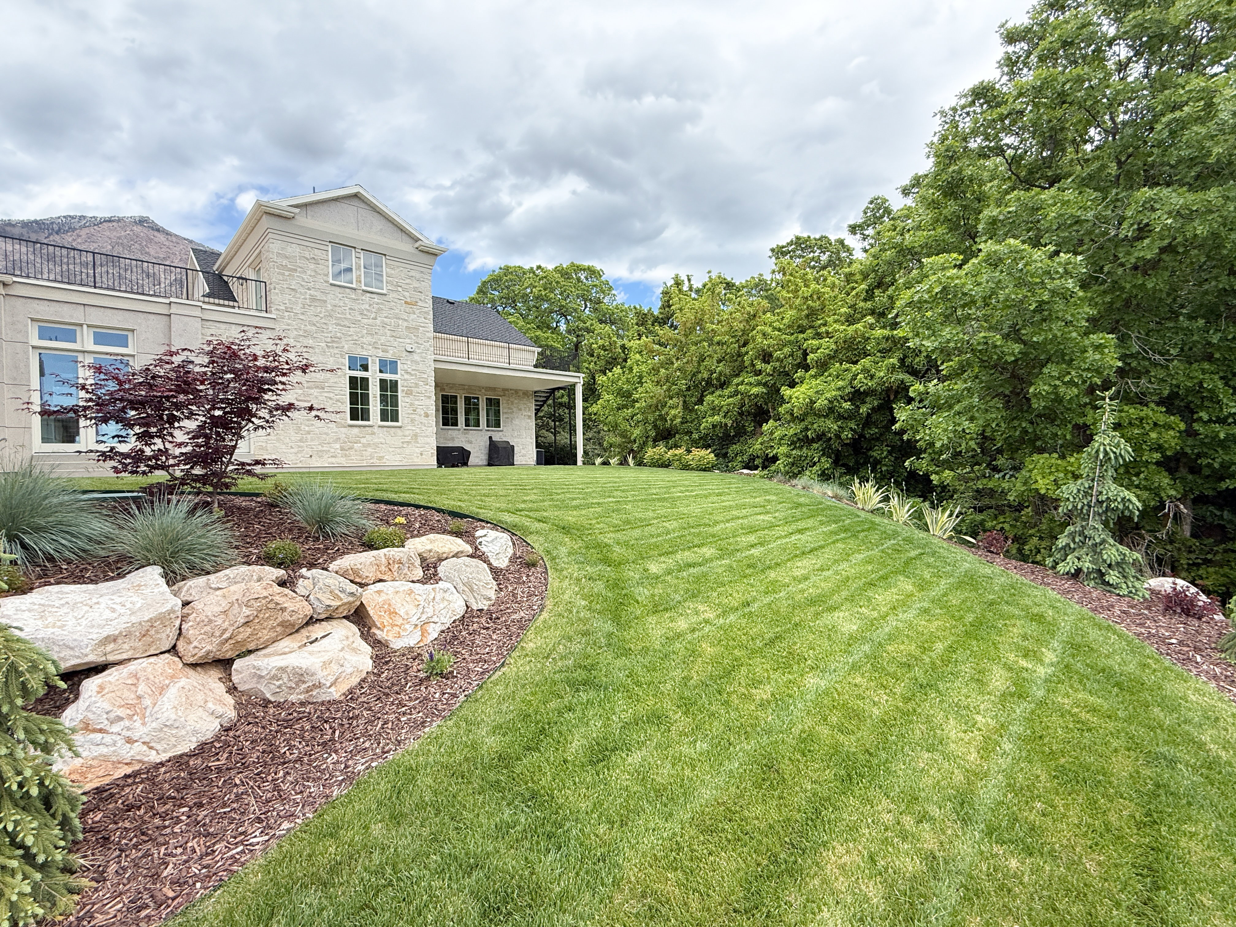 View of grassy yard