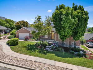 View of property hidden behind natural elements featuring a front lawn, brick siding, and driveway
