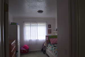 Carpeted bedroom featuring crown molding, a textured ceiling, and baseboards