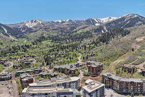 View of mountain background with a heavily wooded area