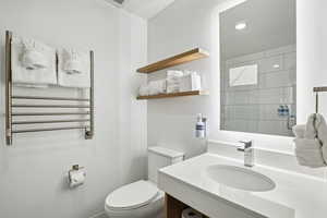 Full bathroom featuring toilet, vanity, and a shower