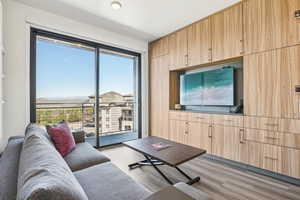 Living area with light wood-style floors and healthy amount of natural light