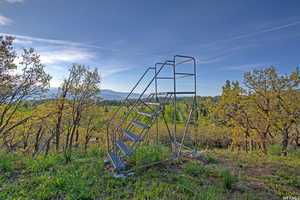 View of yard featuring a mountain view and a wooded view