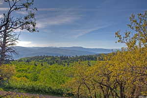Mountain view featuring a heavily wooded area
