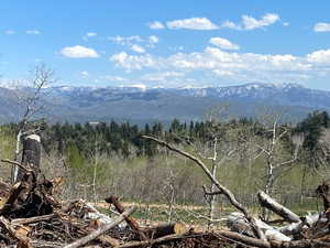 View of undeveloped land featuring mountains