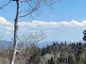 View of mountain backdrop featuring a forest