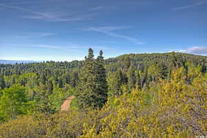 Mountain view with a heavily wooded area