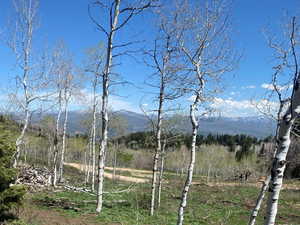 View of undeveloped land with a mountainous background