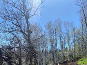 View of undeveloped land