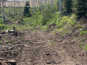 View of undeveloped land