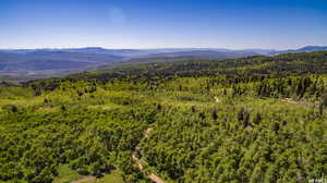View of mountain backdrop featuring a forest