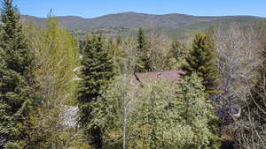 Nestled in the mature trees for privacy