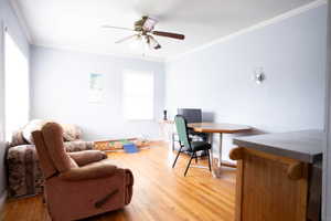Office area featuring crown molding, ceiling fan, light wood finished floors, and baseboards