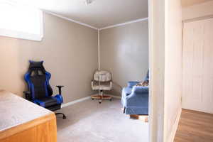 Bedroom featuring baseboards, light colored carpet, and ornamental molding