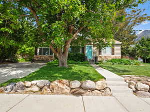 Obstructed view of property with stone siding and a front yard