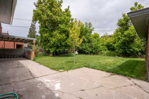 View of back yard, garden spot next to the canal !