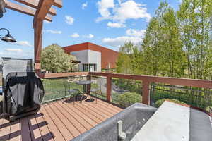 Deck with a grill