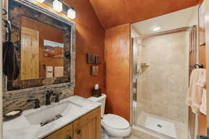 Full bathroom featuring toilet, vanity, a shower stall, and vaulted ceiling