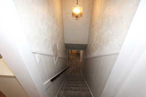 Staircase featuring carpet flooring and a wainscoted wall