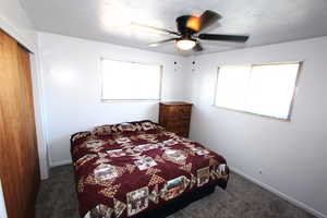 Bedroom with multiple windows, a closet, carpet floors, and baseboards